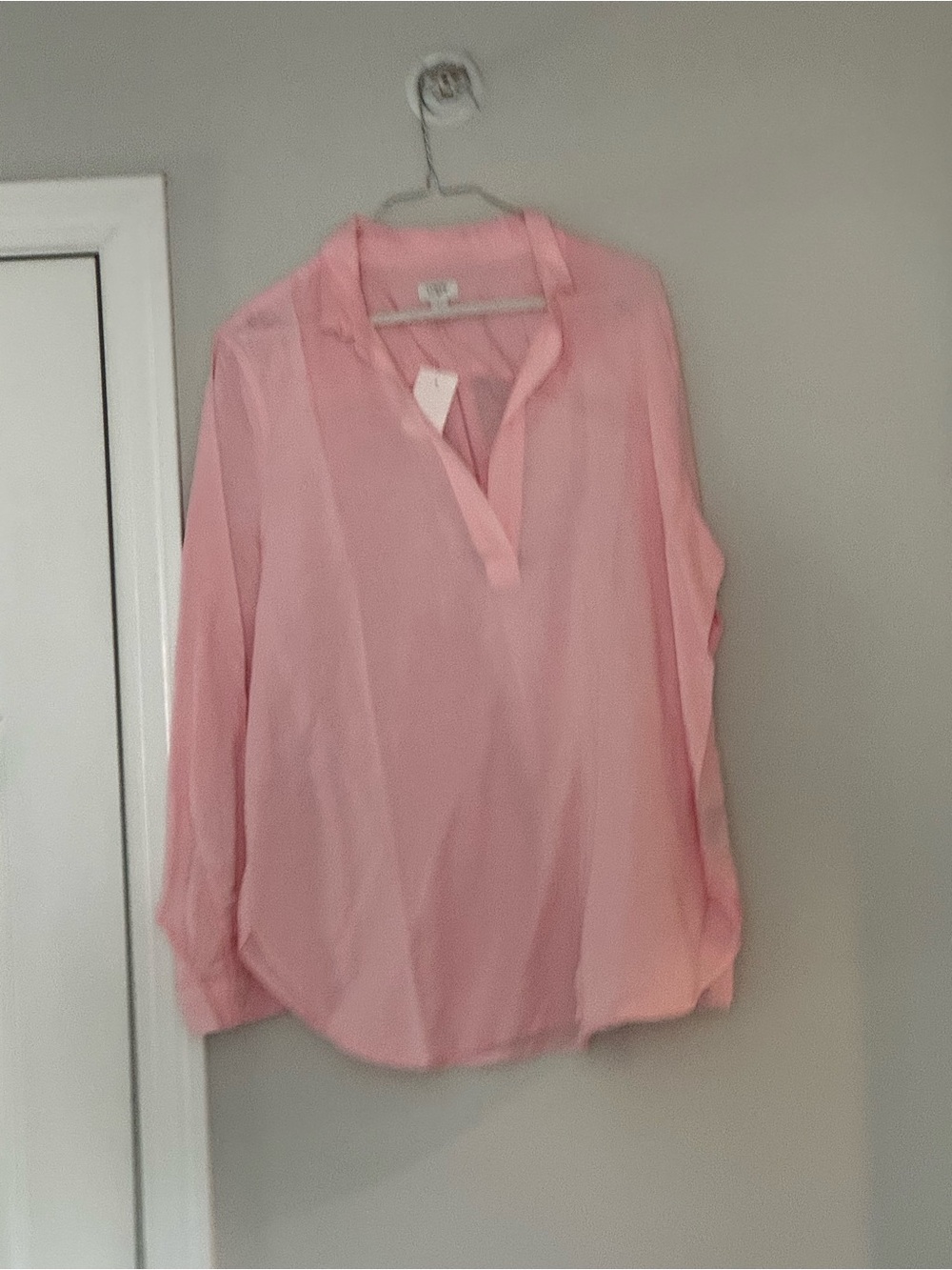 J. Crew Light Pink Sheer V-Neck Long Sleeve Blouse